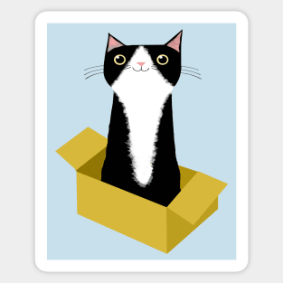 Cat in Box Sticker